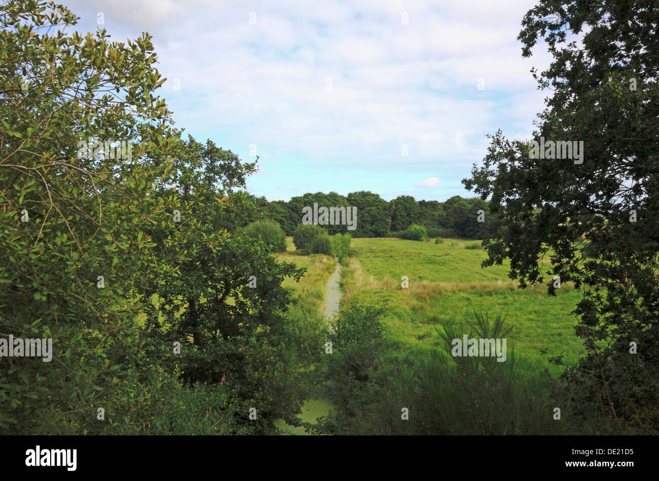 A view across countryside from the Weavers Way long distance footpath at Honing, Norfolk, England, United Kingdom. Stock Photo