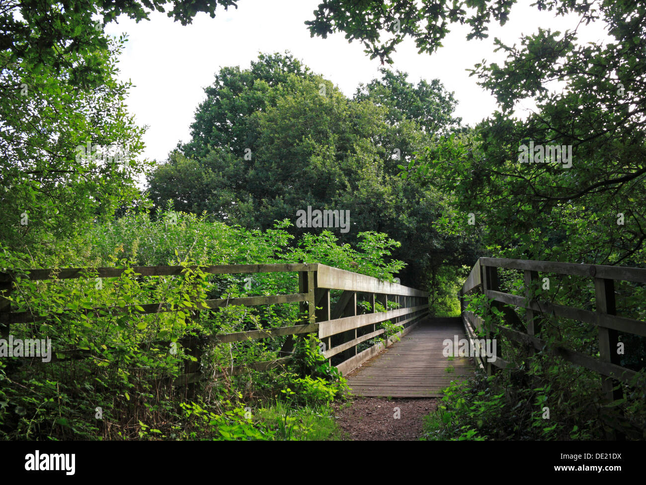 A temporary bridge on the Weavers Way crossing the old North Walsham and Dilham Canal at Honing, Norfolk, England, UK. Stock Photo