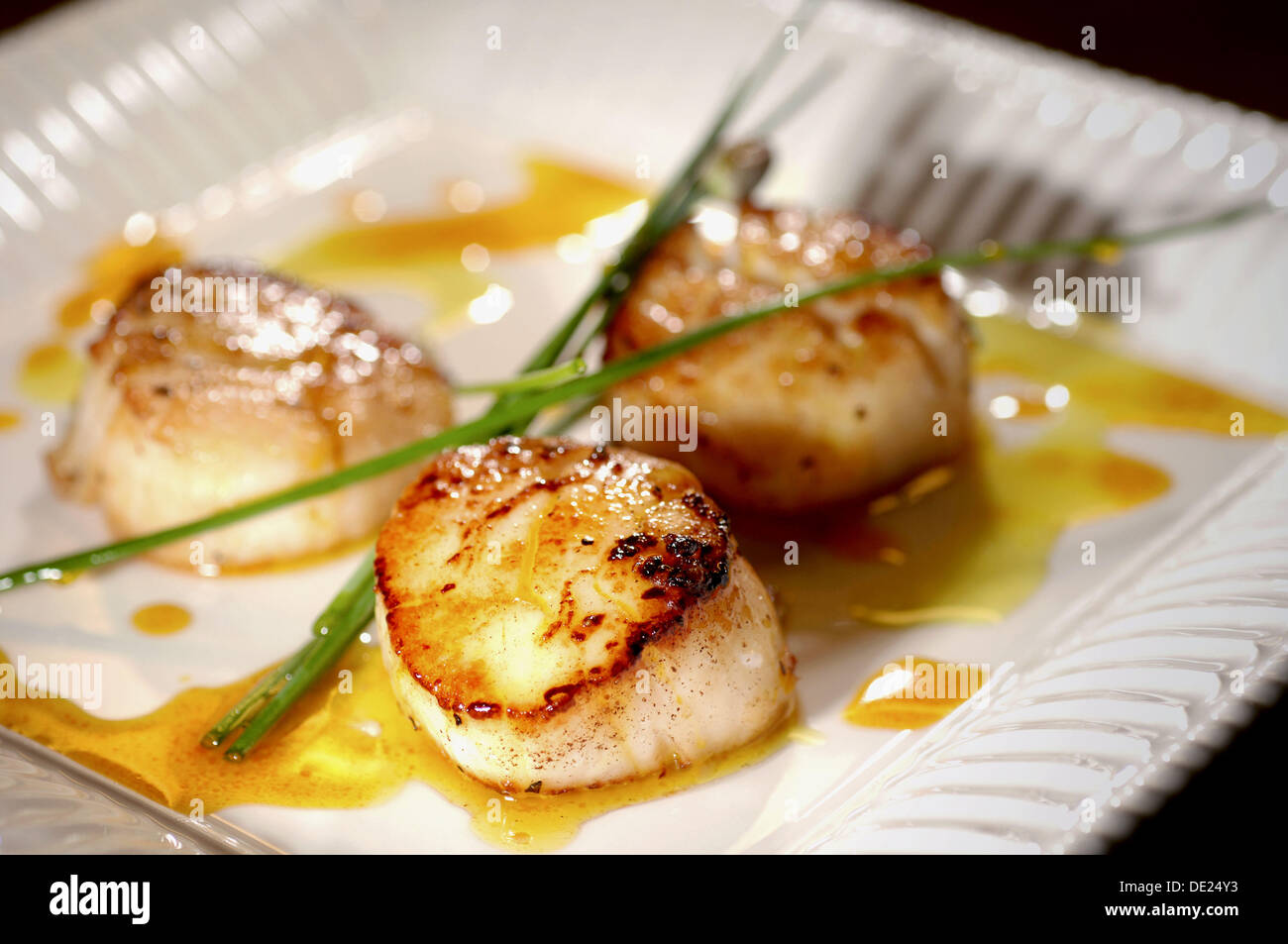 Scallops with light sauce Stock Photo Alamy
