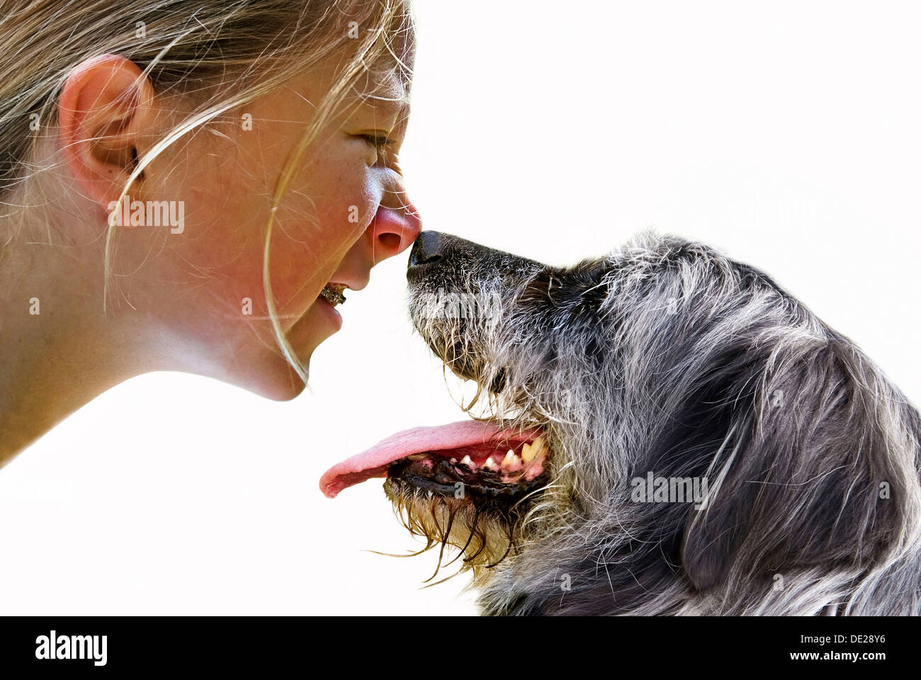 Girl and dog sniffing each other's noses Stock Photo