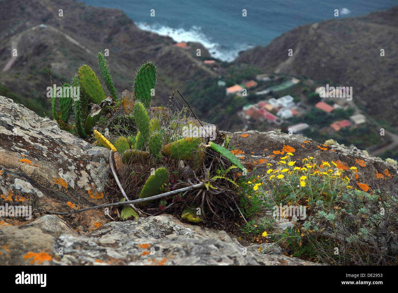 View of Playa de Benijo beach and Benijo village, Tenerife island, Canary Islands, Spain, Europe Stock Photo