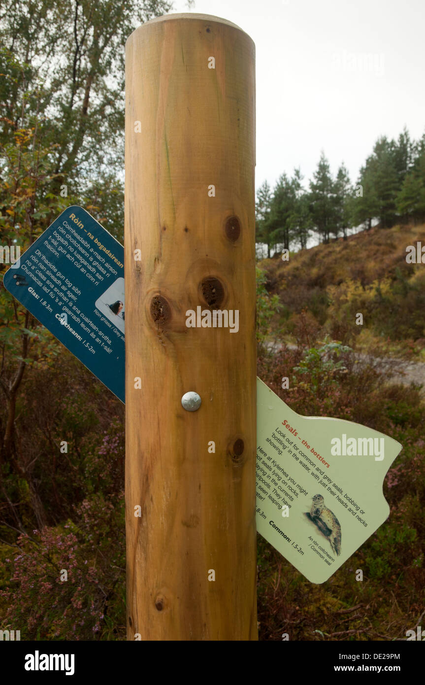 Flip out information board on the Marine Mammal Trail at Kylerhea, Isle of Skye, Scotland, UK Stock Photo