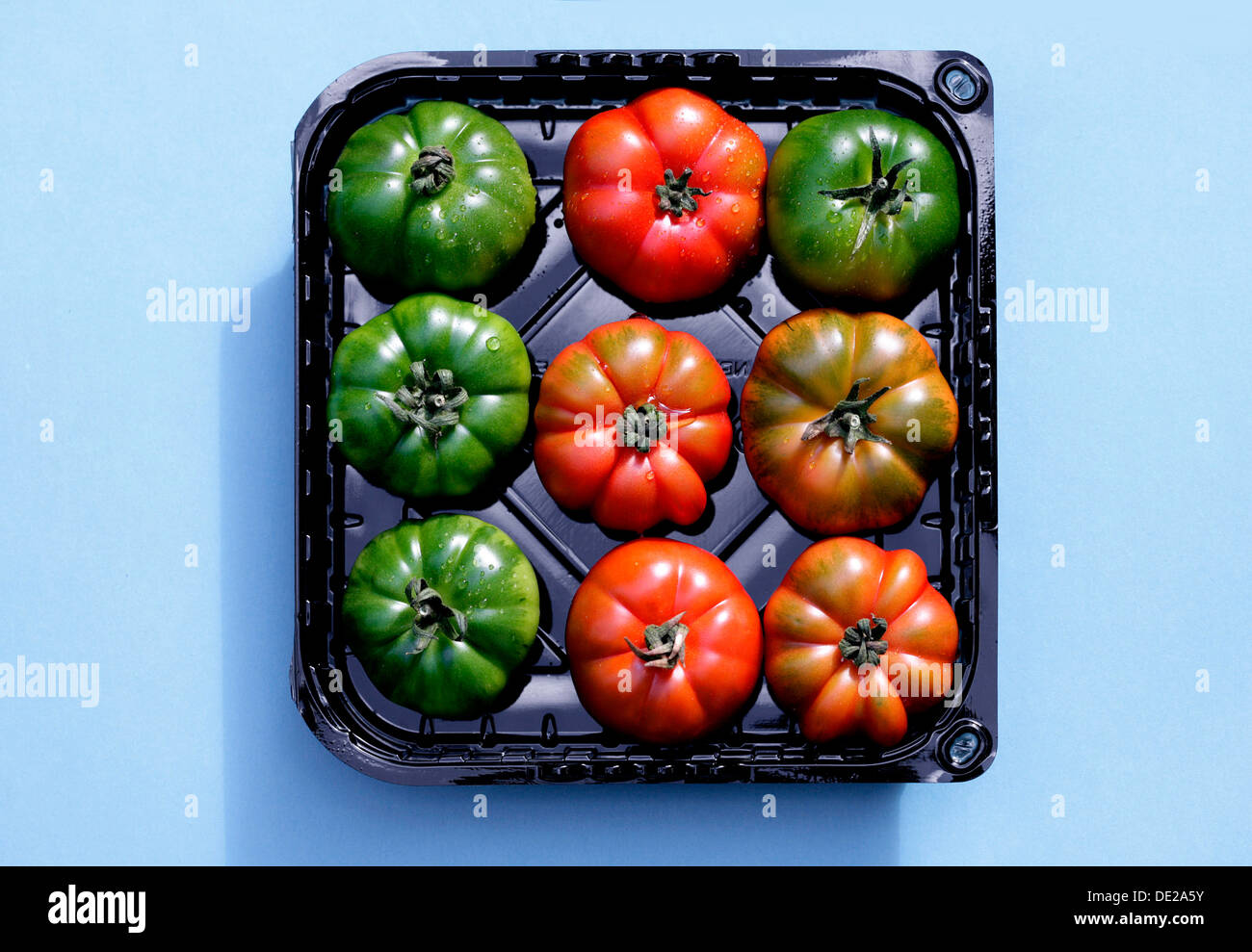Red and green tomatoes in a black plastic tray Stock Photo