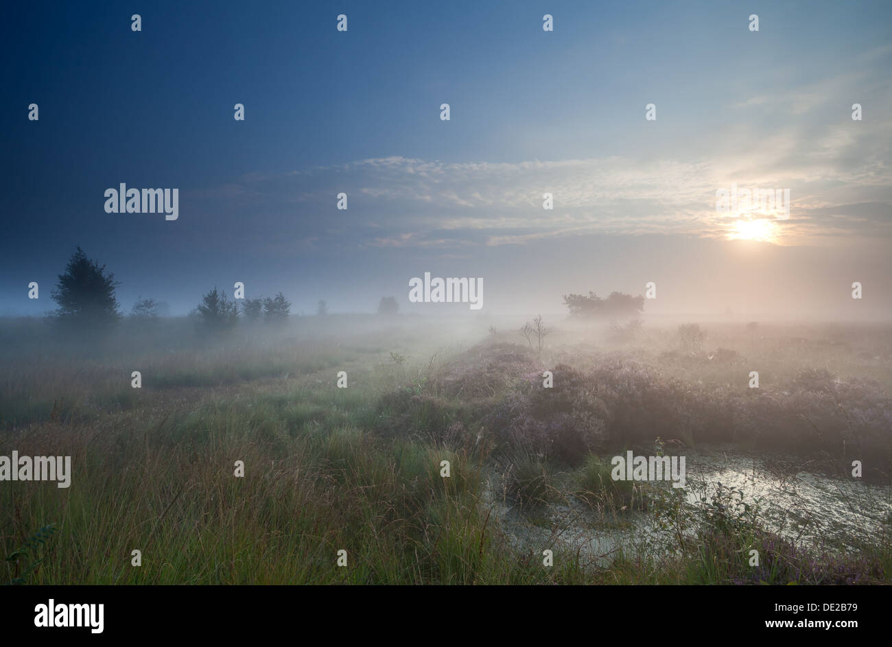 Dense fog over lake hi-res stock photography and images - Alamy