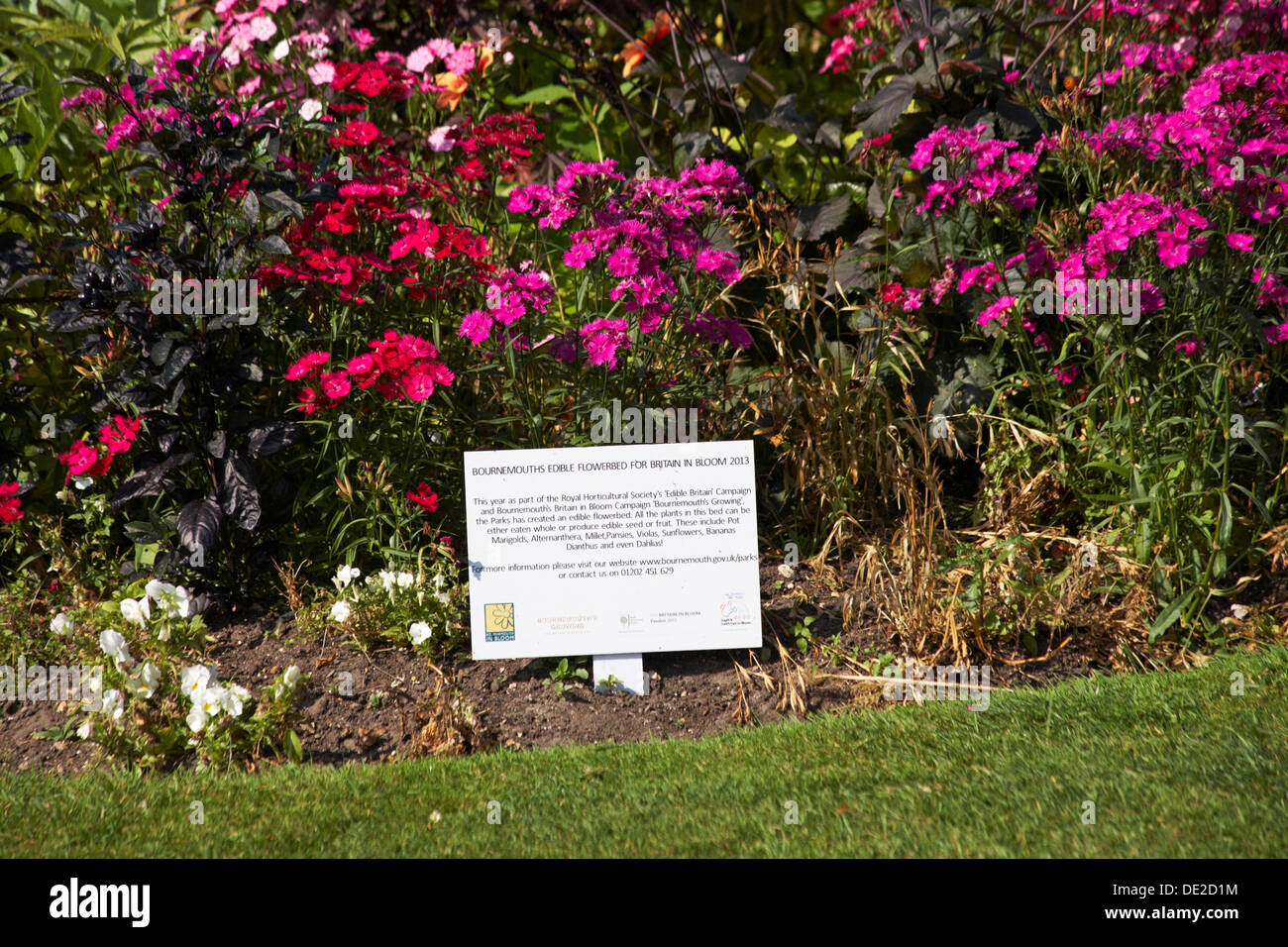 Bournemouth's edible flowerbed for Britain in Bloom 2013 at Bournemouth Gardens in September Stock Photo