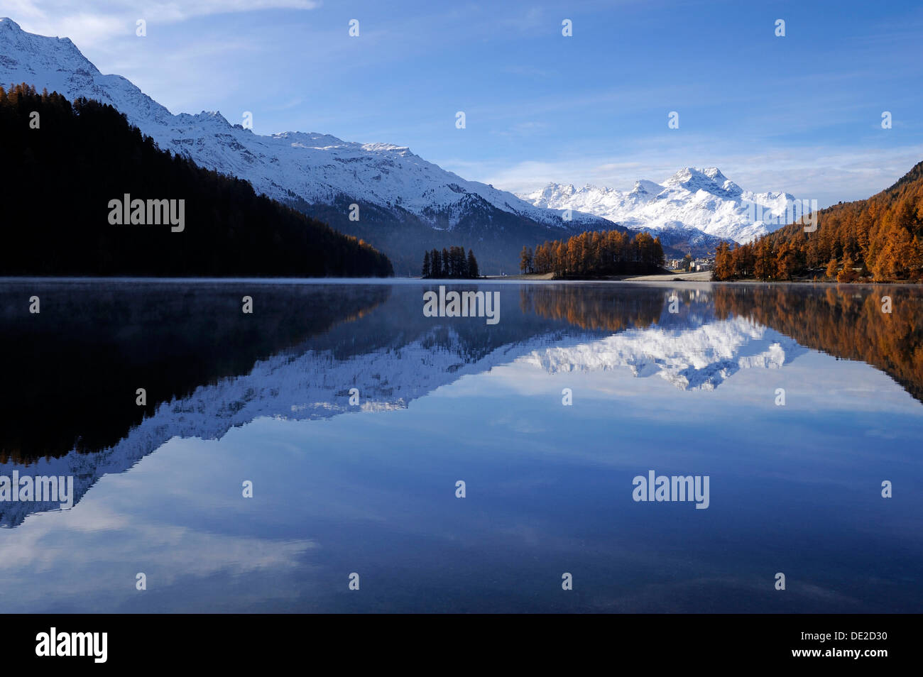 Lake Champfer with larch forest with autumnal colouring, Mt Piz da la Margna at back, St. Moritz, Engadine, Grisons, Switzerland Stock Photo