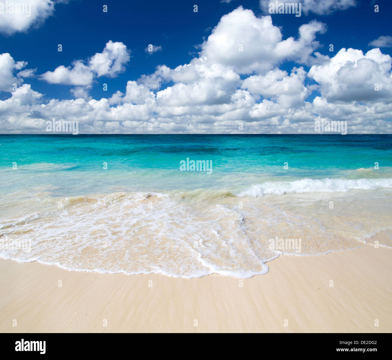 tropical sea under the blue sky Stock Photo