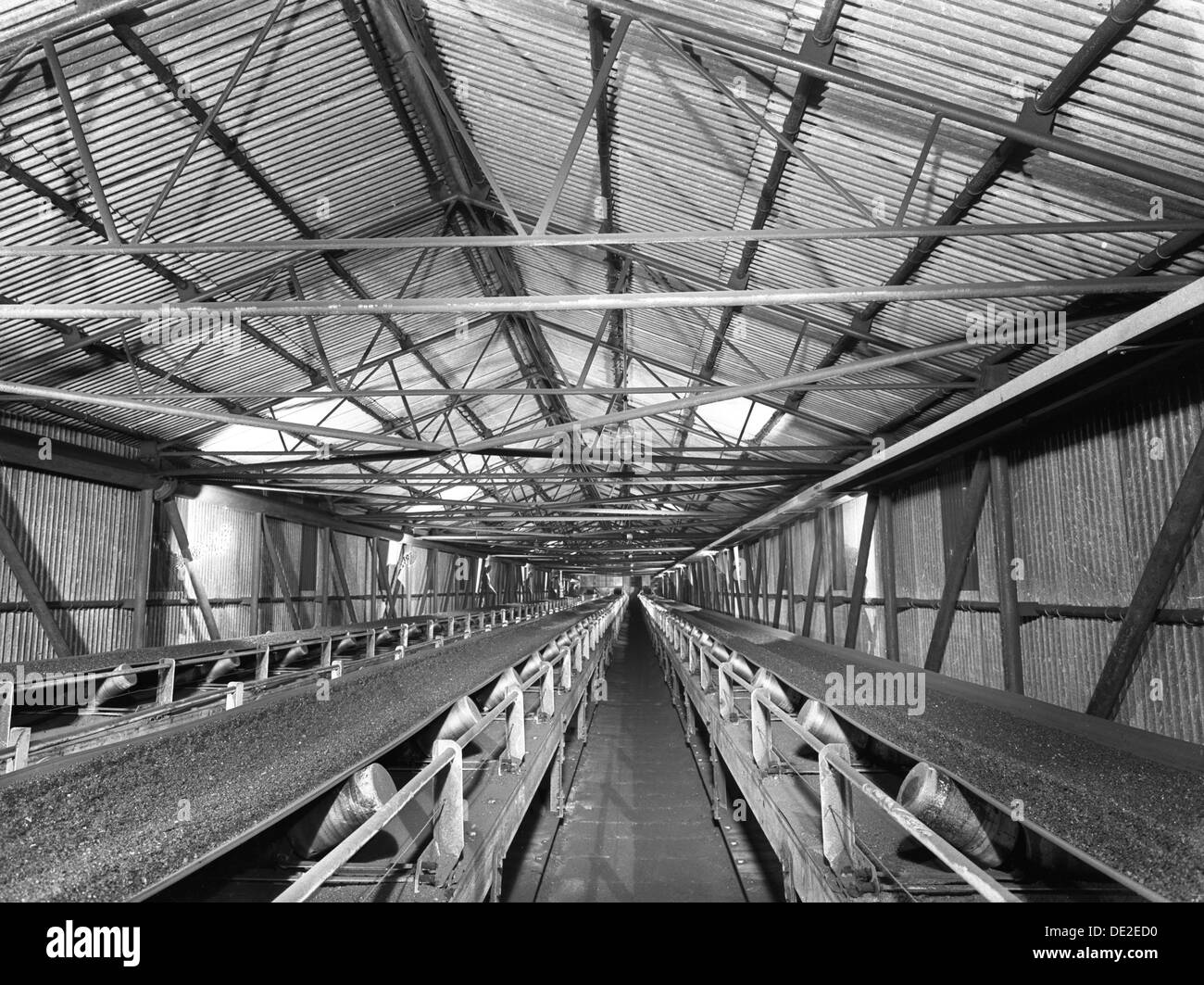 Triple conveyors at Manvers Main coal preparation plant, Wath upon Dearne, South Yorkshire, 1956. Artist: Michael Walters Stock Photo
