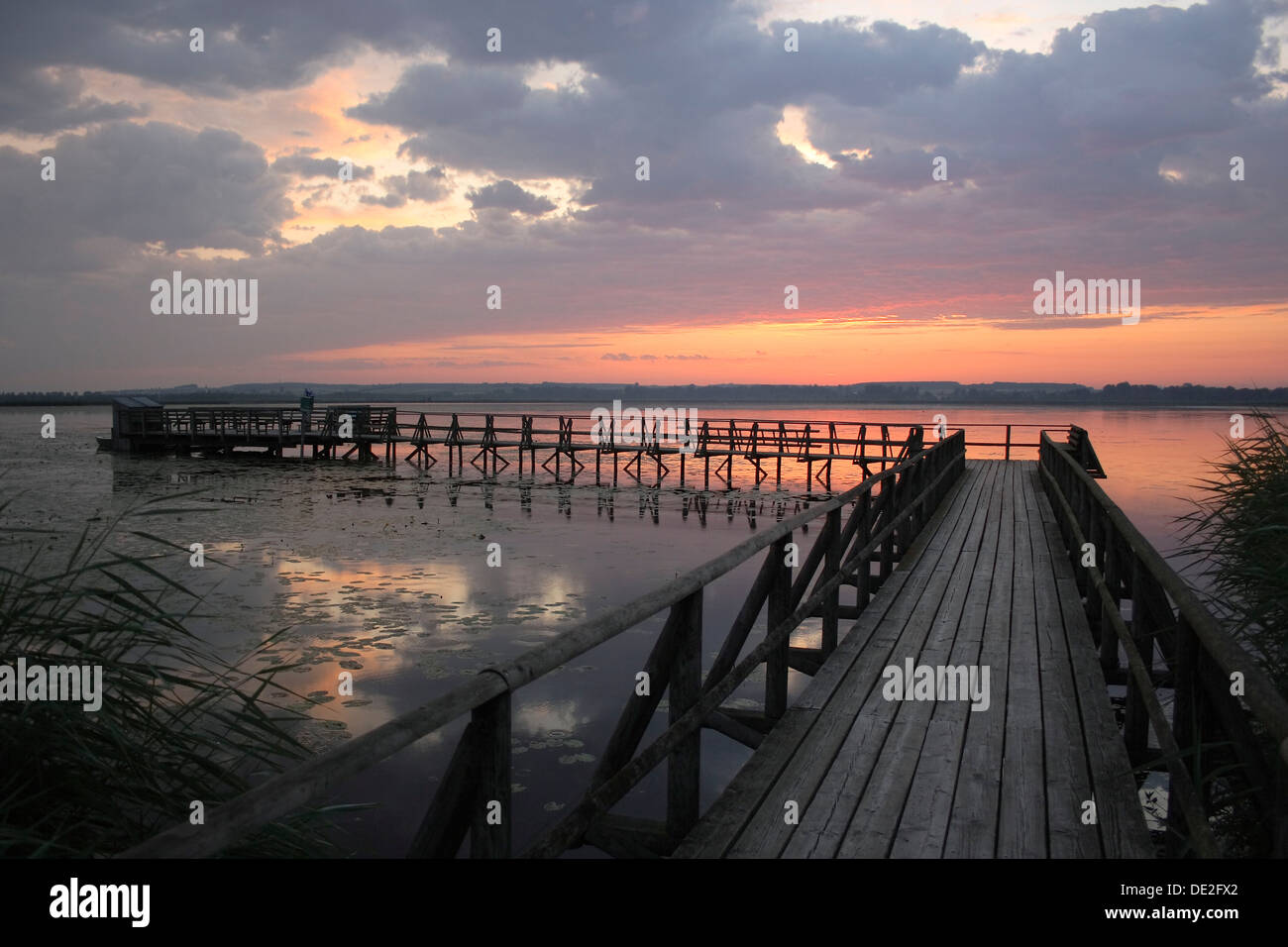 Dawn On Federsee Lake Federsee Pier Nature Reserve Near Bad Buchau District Of Biberach Upper Swabia Baden Wuerttemberg Stock Photo Alamy