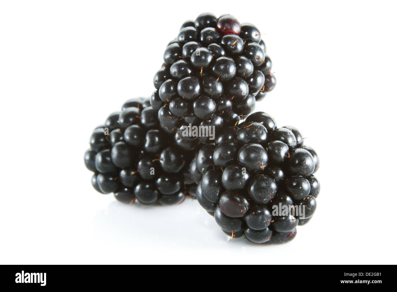 blackberries isolated on a white background Stock Photo