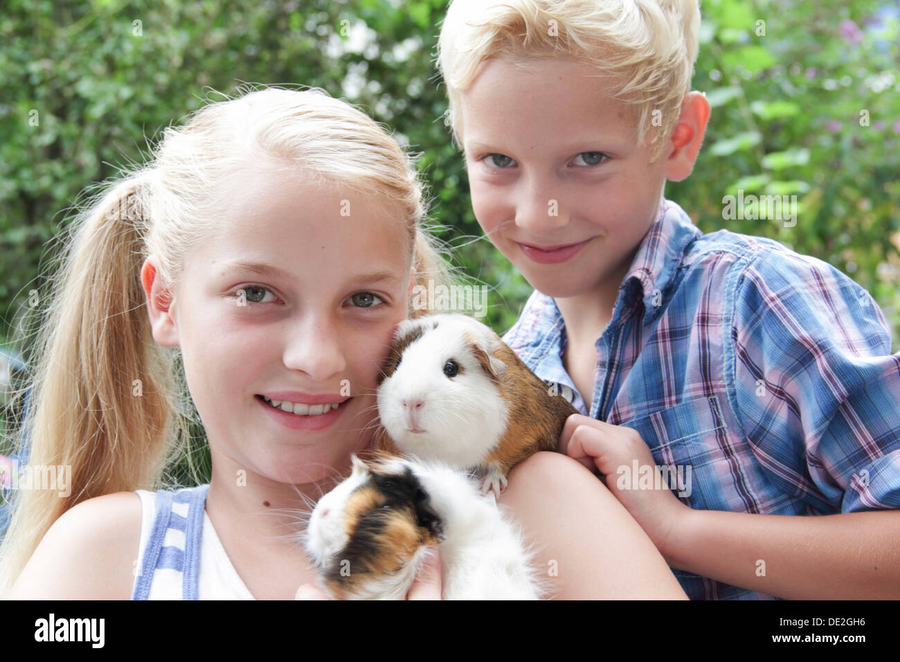 Girl and boy holding guinea pigs Stock Photo Alamy