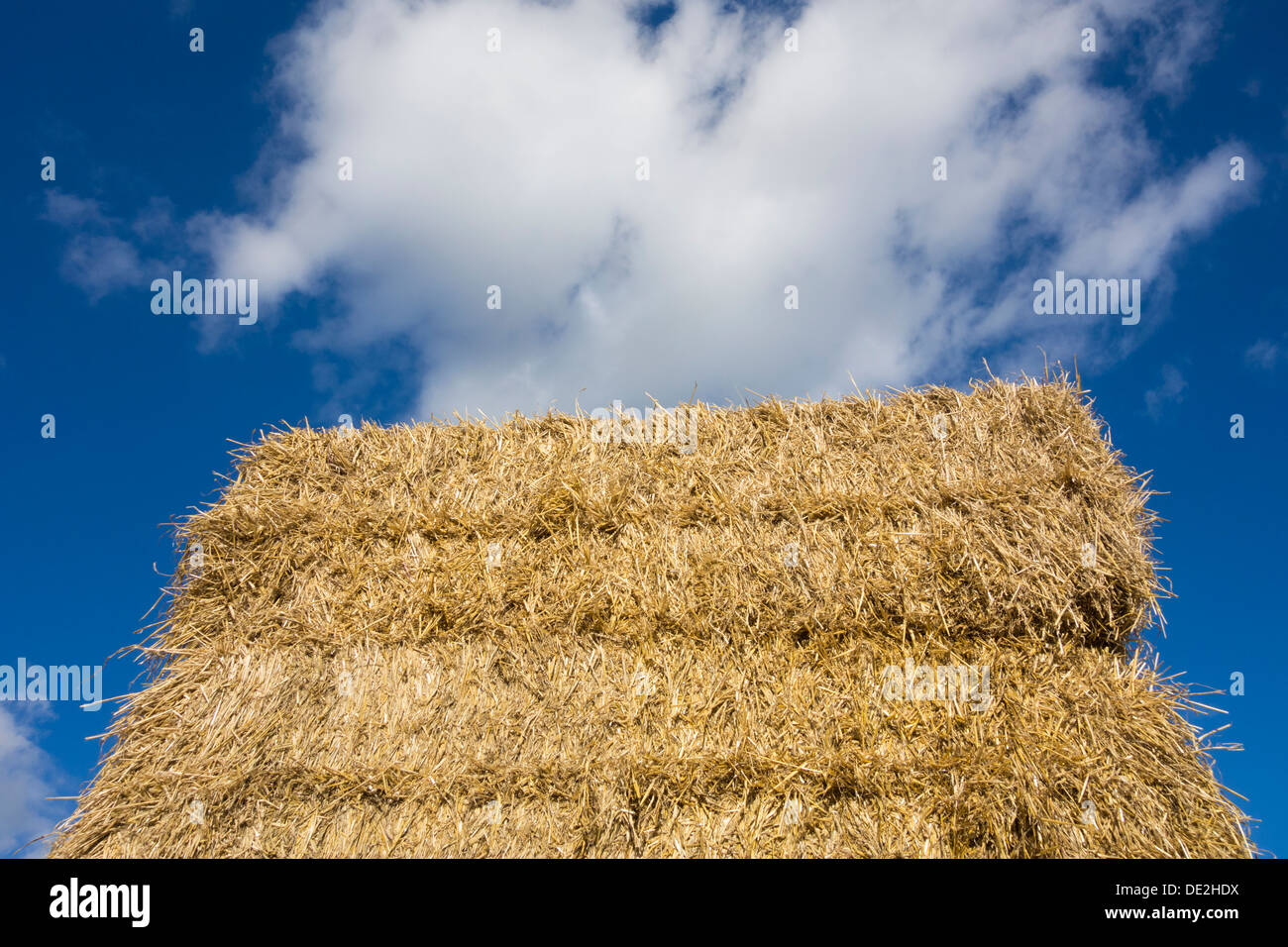 Haystack in field in England, UK Stock Photo