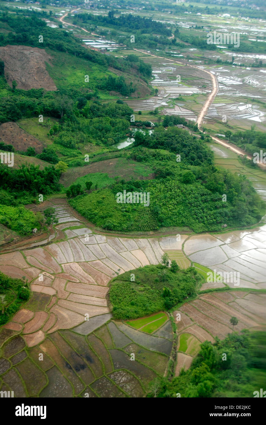 Laotian rice paddies hires stock photography and images Alamy