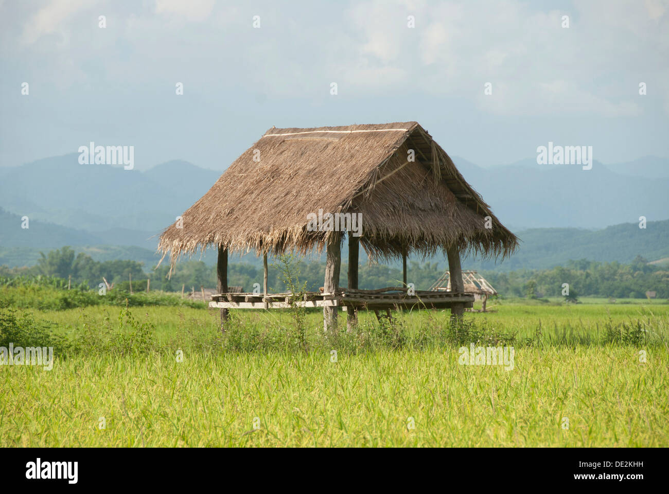 Traditional rice cooker over open fire, sticky rice cooking in a bamboo  basket over simmering water, Living Land Rice Farrm near Luang Prabang,  Laos Stock Photo - Alamy