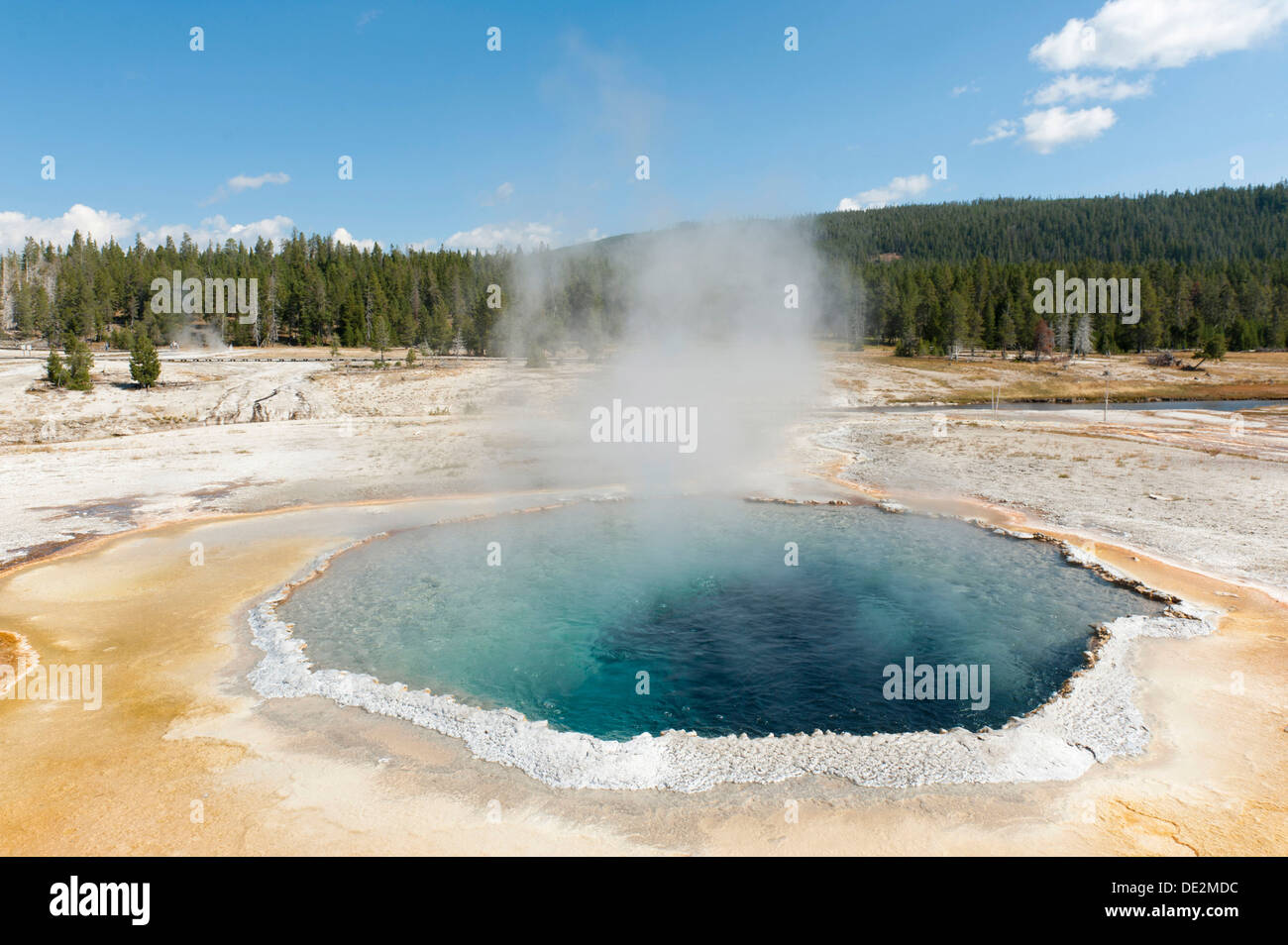 Hot spring, boiling water, steam, Crested Pool, Castle-Grand Area, Upper Geyser Basin, Yellowstone National Park, Wyoming Stock Photo