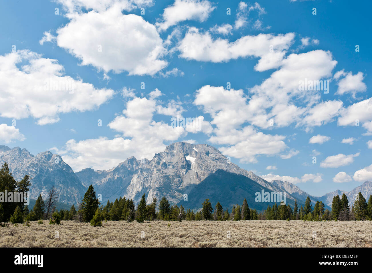 Landscape with Sagebrush (Artemisia tridentata), forest and Mount Moran, Grand Teton National Park, Teton Range, Rocky Mountains Stock Photo