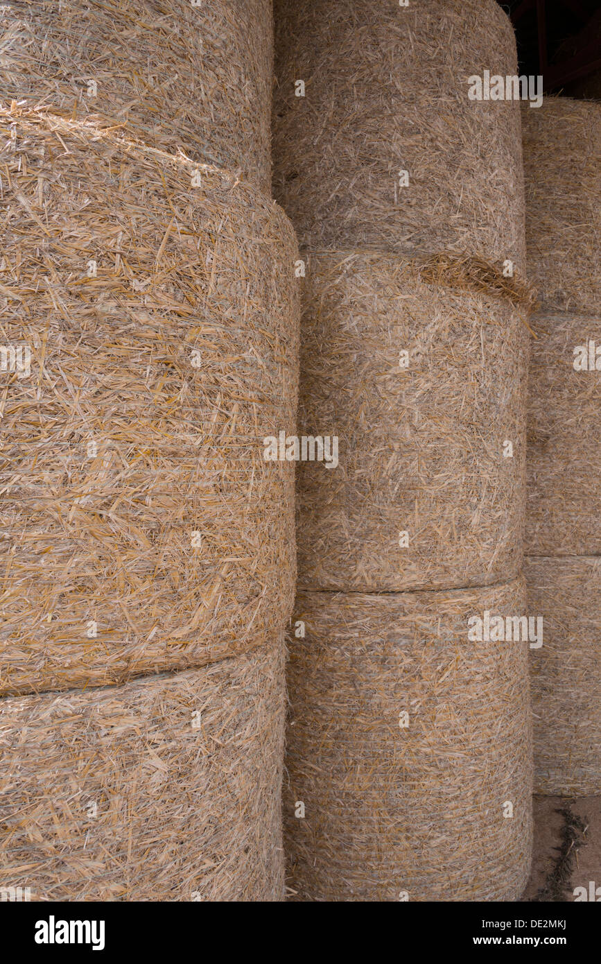 Hay bales in the Bourgogne (Burgundy) area, France Stock Photo