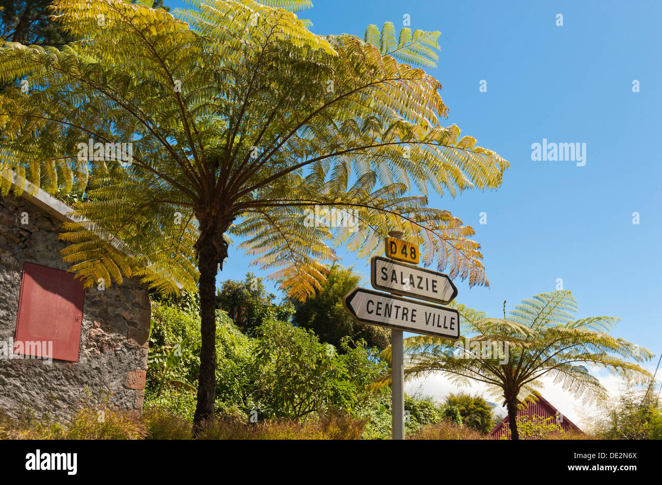 Tree ferns (Cyatheales) and direction signs, Hell-Bourg, Salazie, La Réunion, Reunion, France Stock Photo