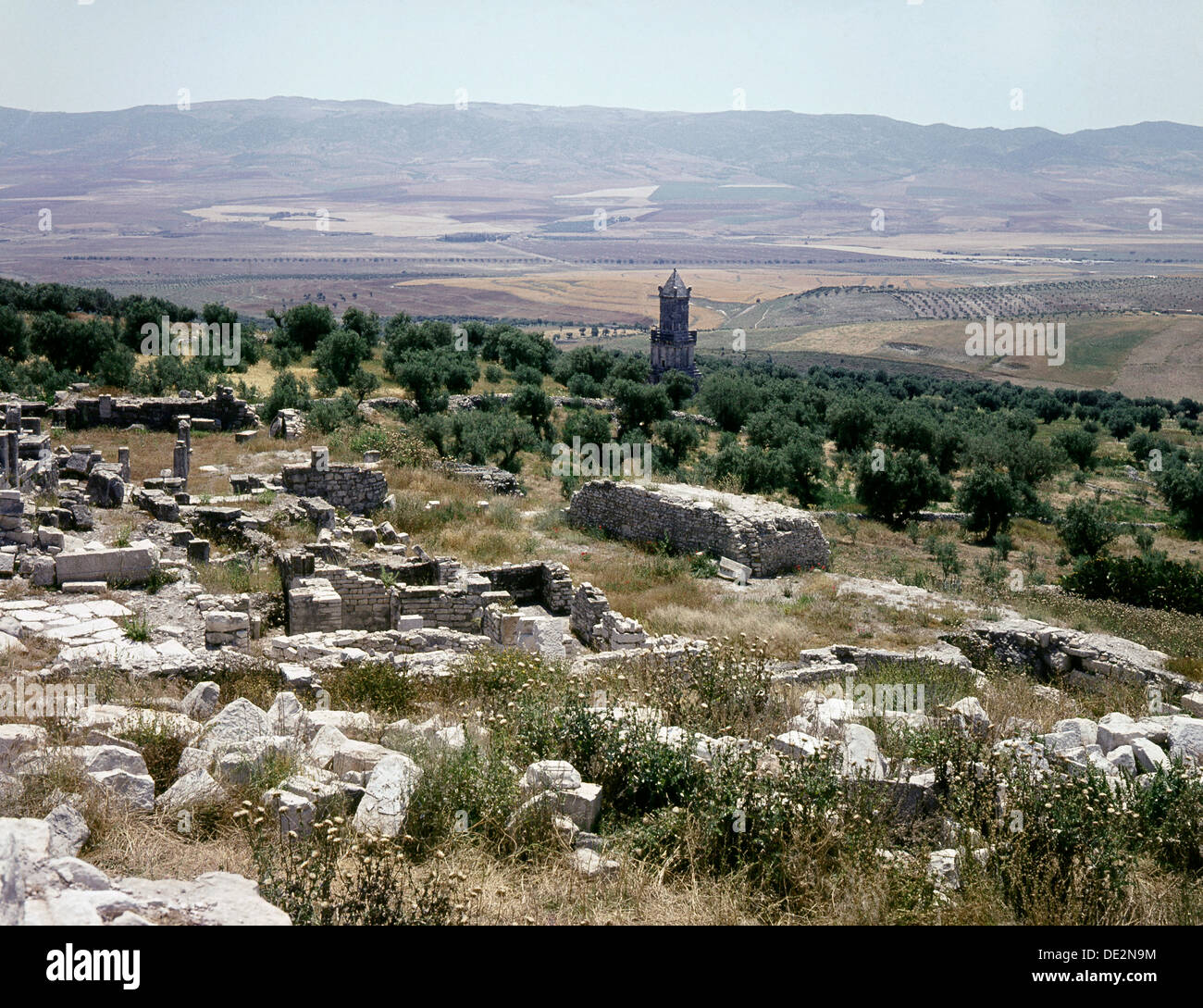 Numidian High Resolution Stock Photography and Images Alamy