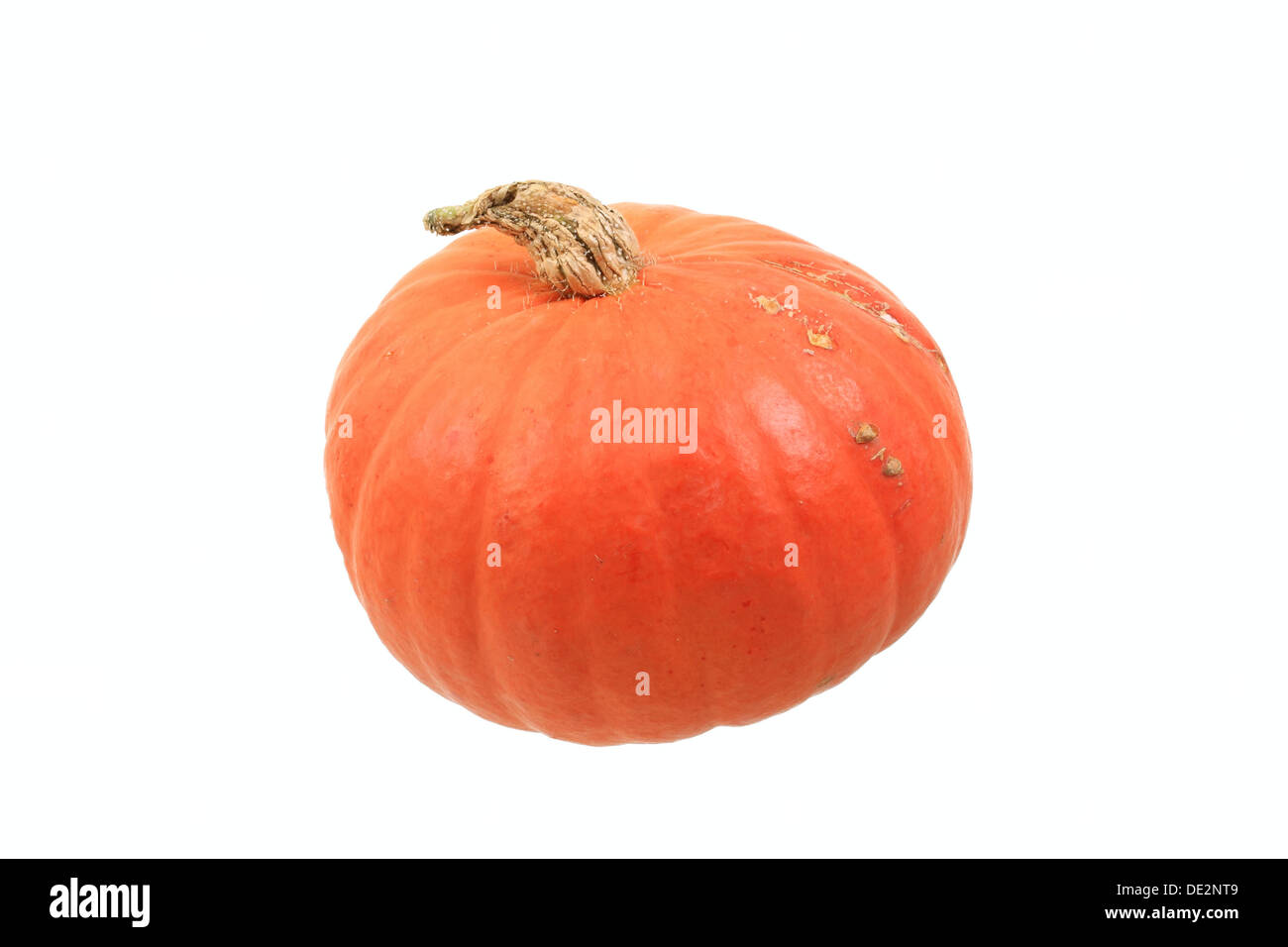 Golden nugget squash High Resolution Stock Photography and Images - Alamy