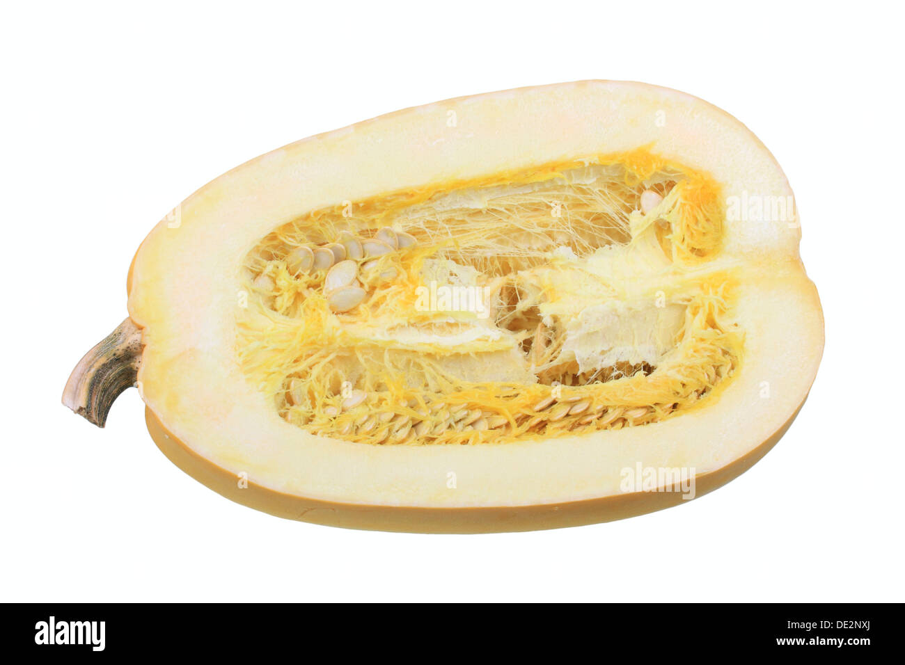 Spaghetti squash, cut with pulp and seeds Stock Photo