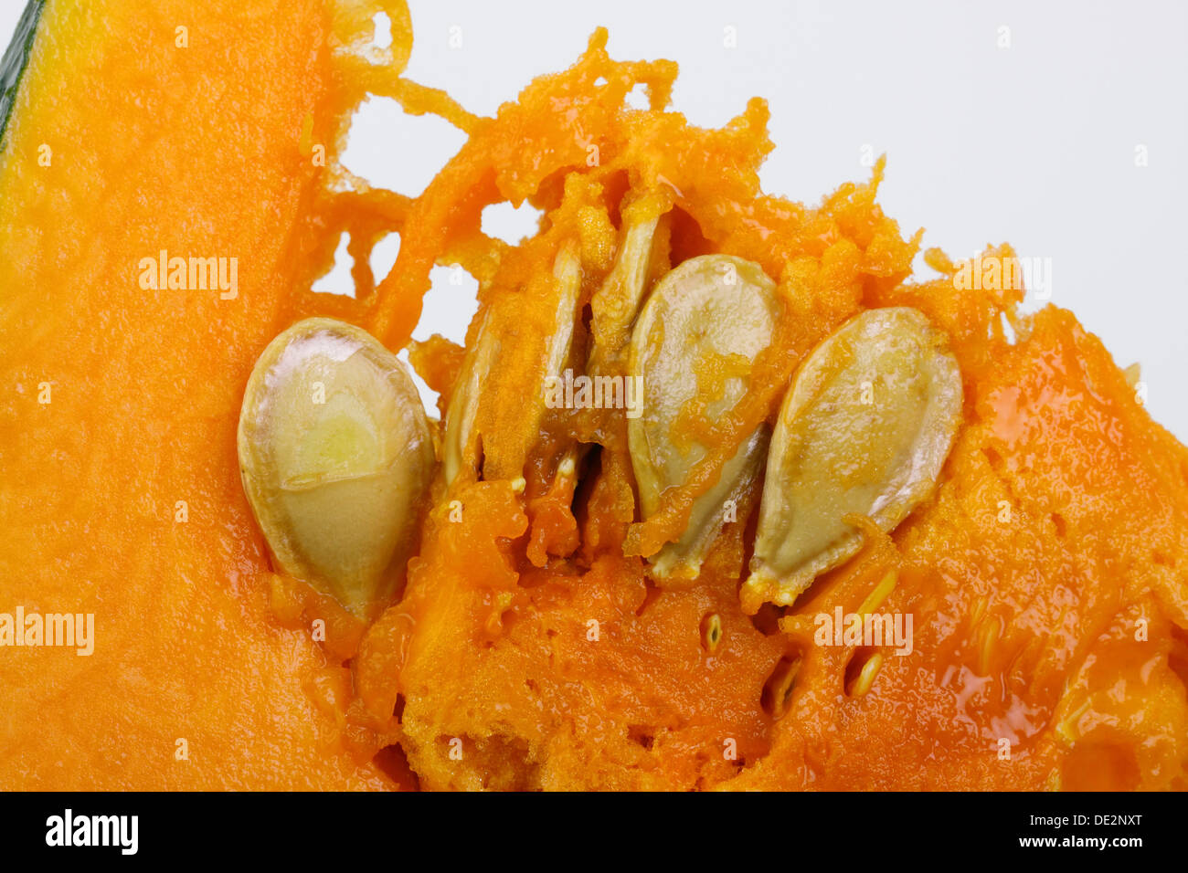 Squash or pumpkin, Muscade de Provence, Muscat de Provence pumpkin, cut with pulp and seeds Stock Photo