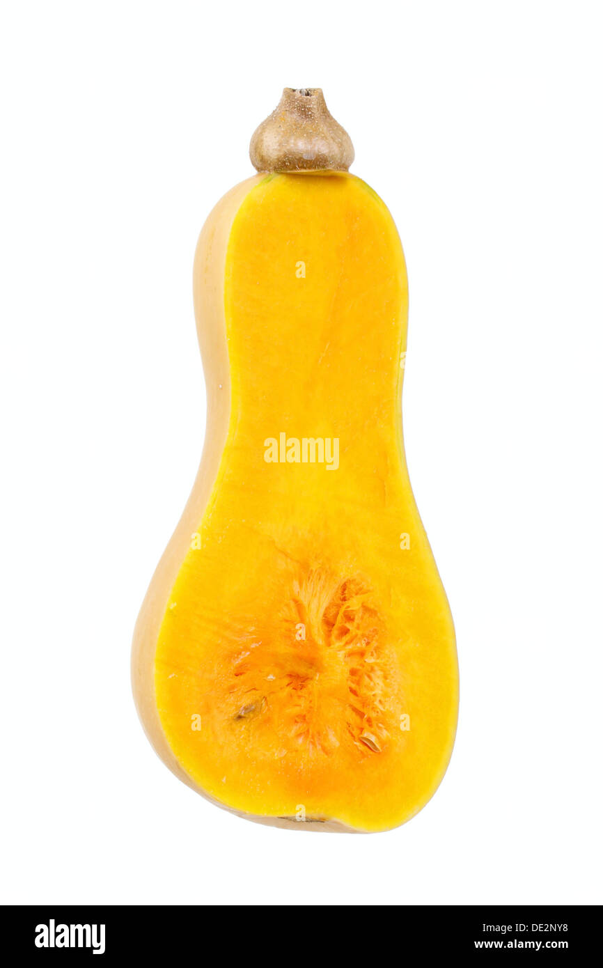 Squash, Butternut Squash (Cucurbita moschata), cut with pulp Stock Photo