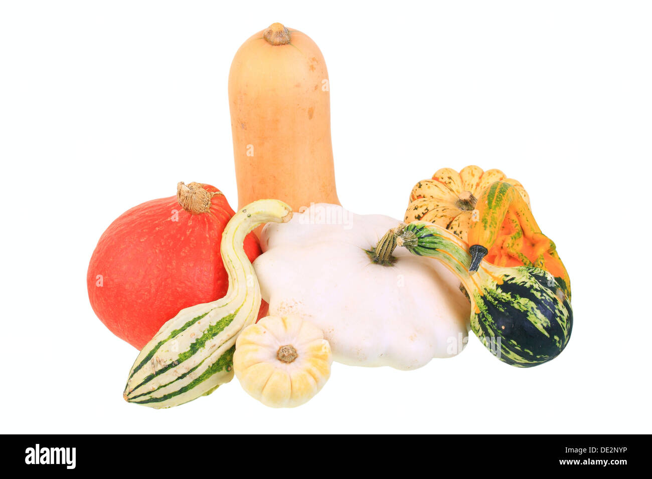 Various types of squashes or gourds Hokkaido pumpkin, butternut squash