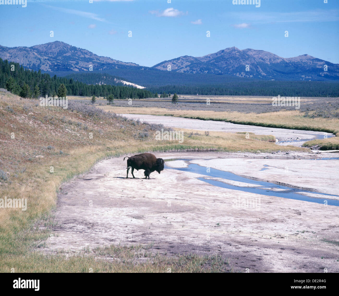 Indian plains hi-res stock photography and images - Alamy