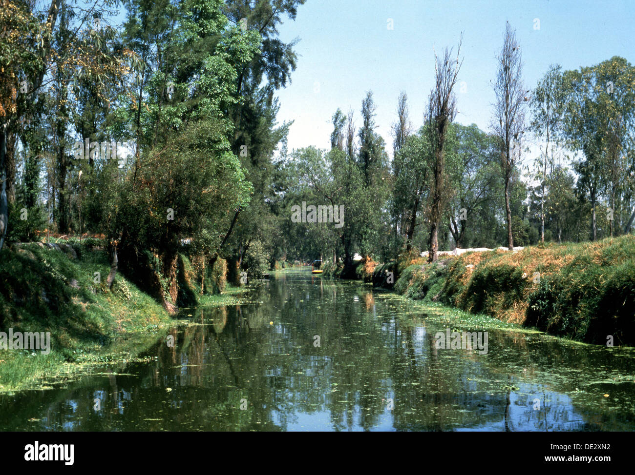 The Aztec canals at the floating gardens of Xochimilco Stock Photo Alamy