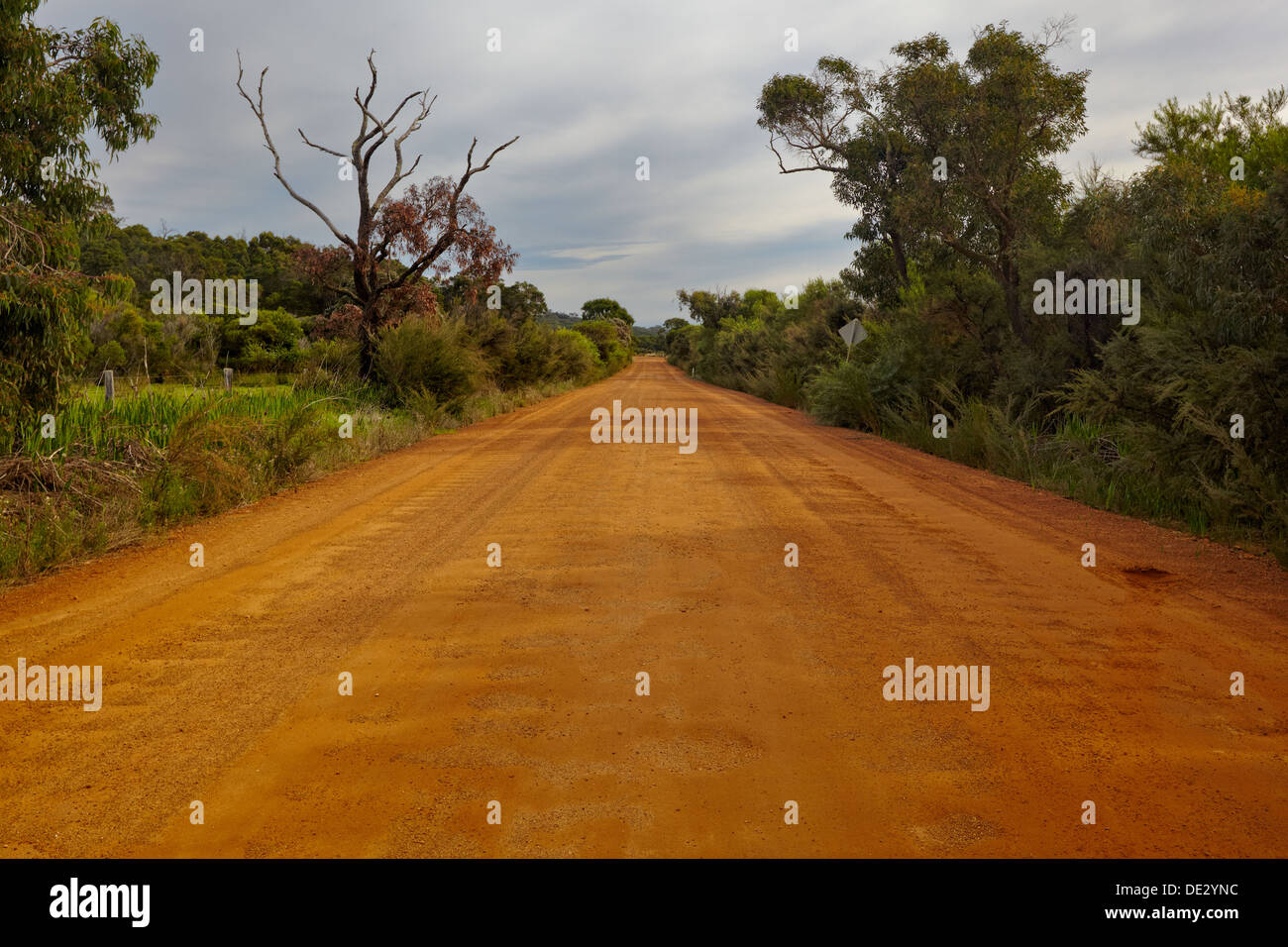 Dirt road to Denmark, Western Australia Stock Photo