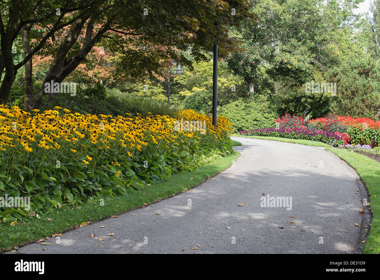 Colorful Flowers in Bloom Along Neighborhood Parks Garden in Summer Stock Photo
