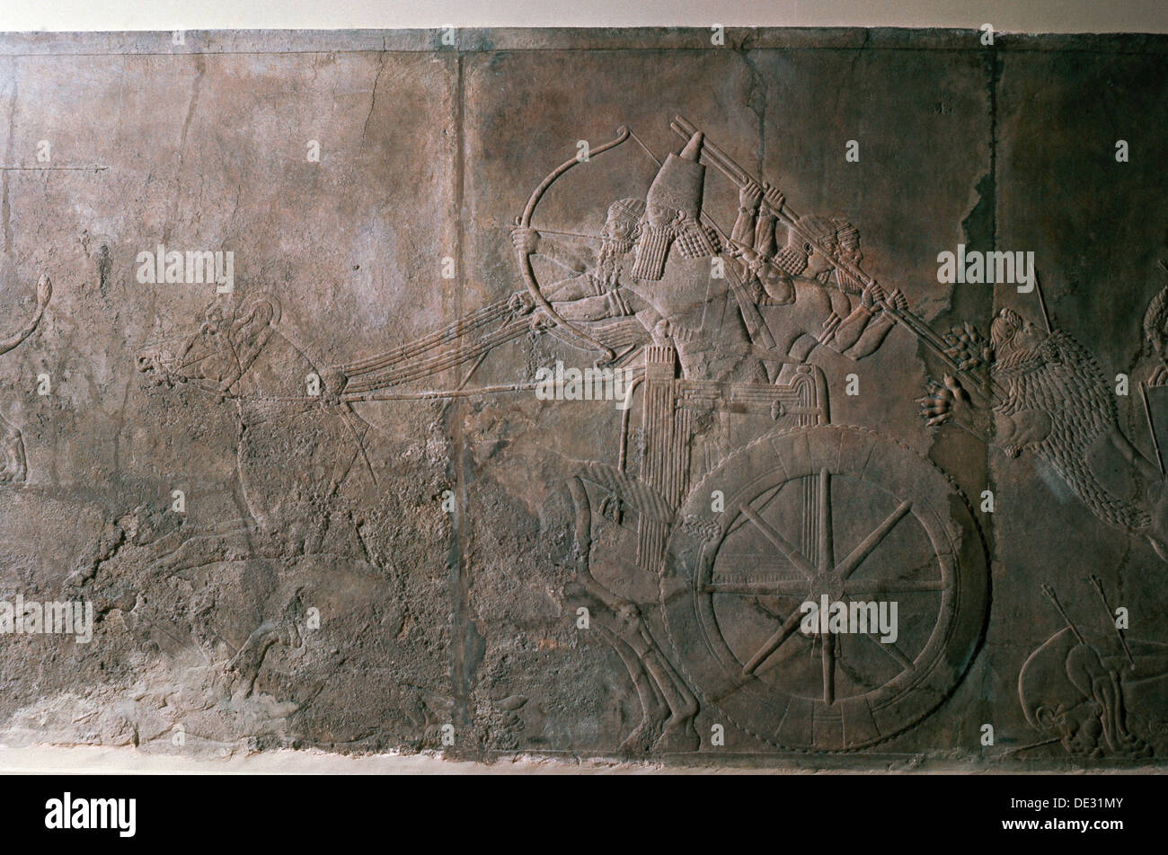 Stone relief from the palace of Ashurbanipal Stock Photo Alamy