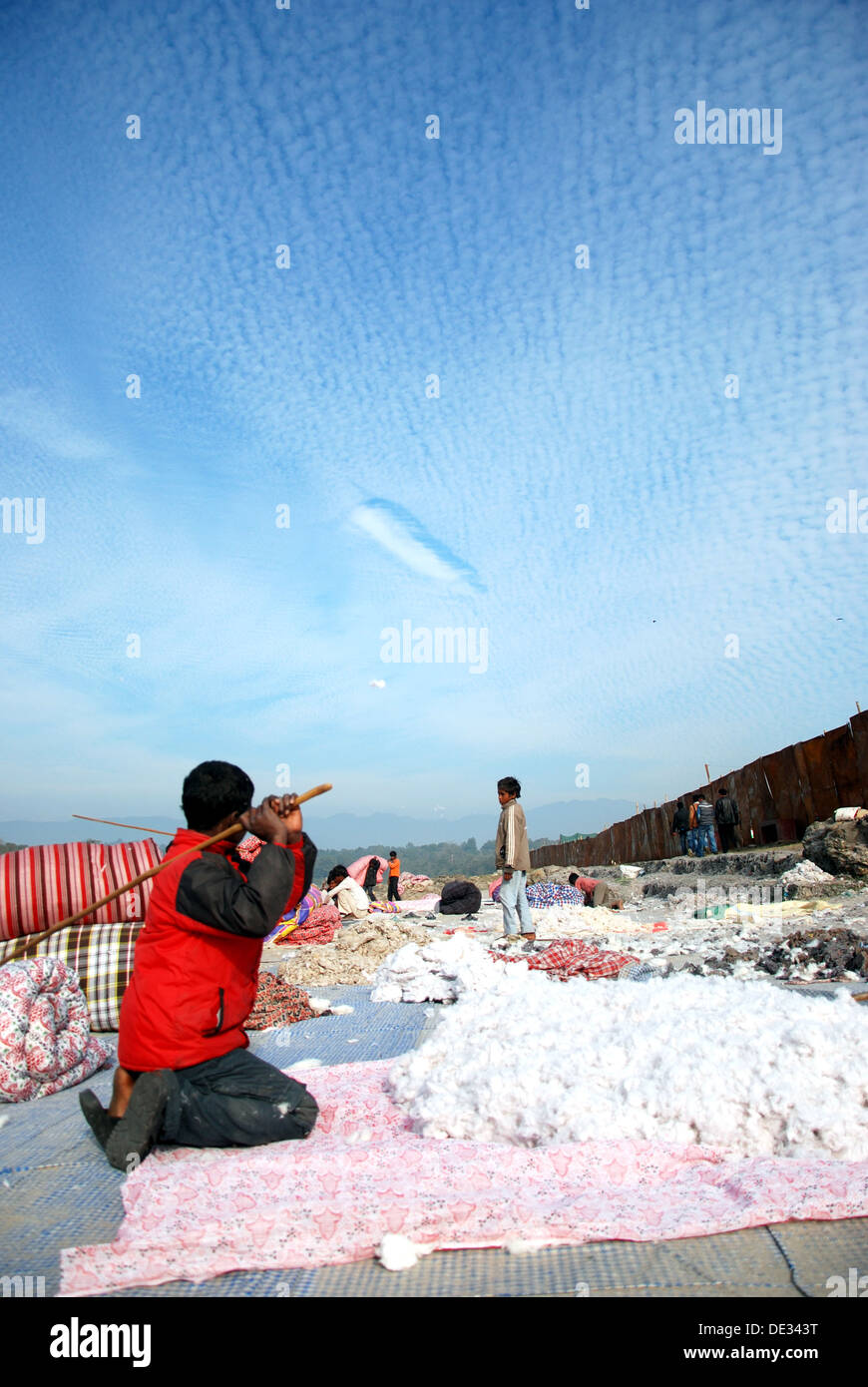 Beating rug hires stock photography and images Alamy