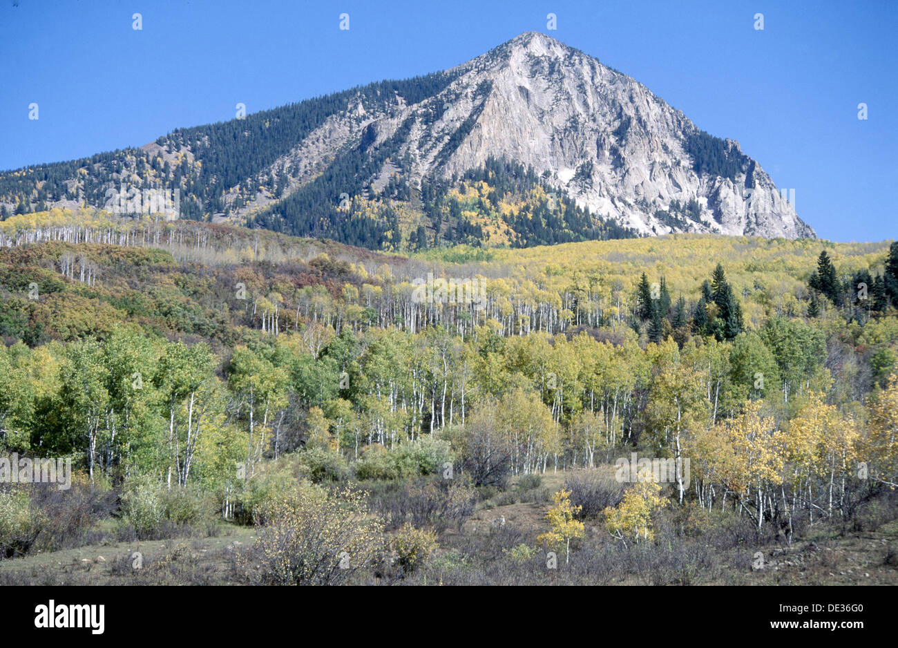 Mount Marcellina and aspens. Gunnison National Forest. Colorado. USA. Stock Photo