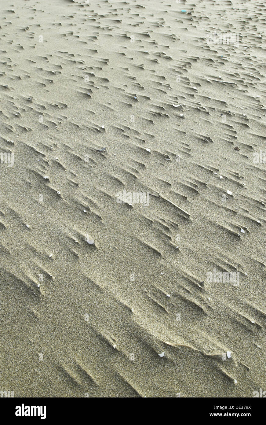 Sand, Platja de la Marquesa. Ebro Delta National Park, Tarragona
