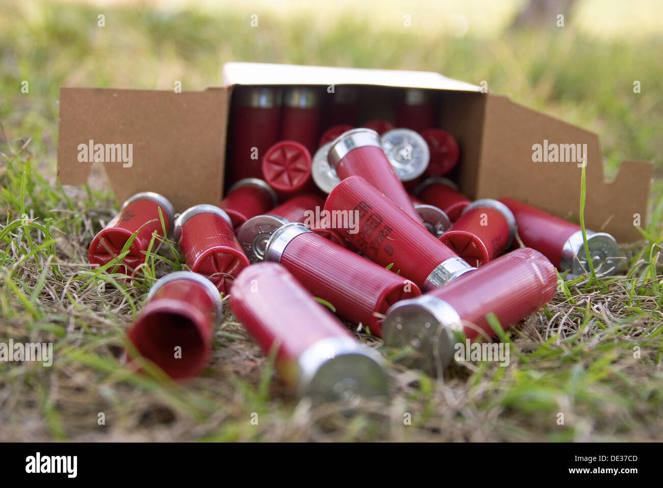 Skeet shooting on a nice day involves a shotgun, shells, bluerock, clay