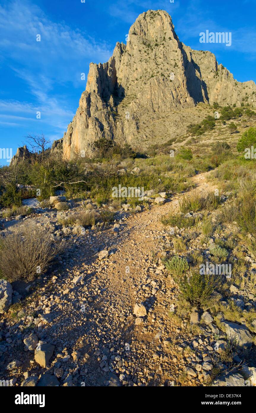 puig campana valencia