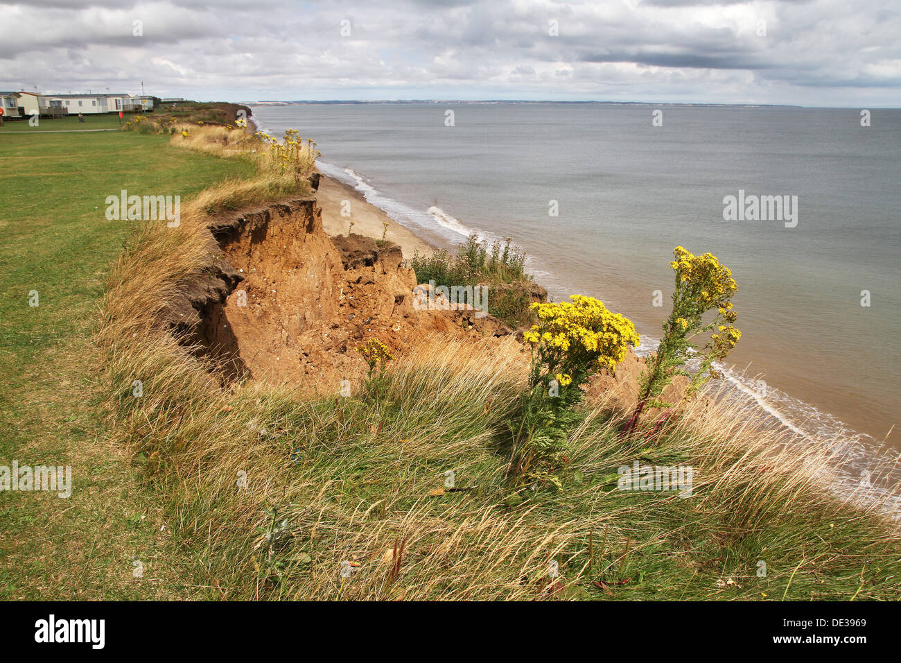 Clay cliff erosion on Yorkshire UK East coast. Stock Photo