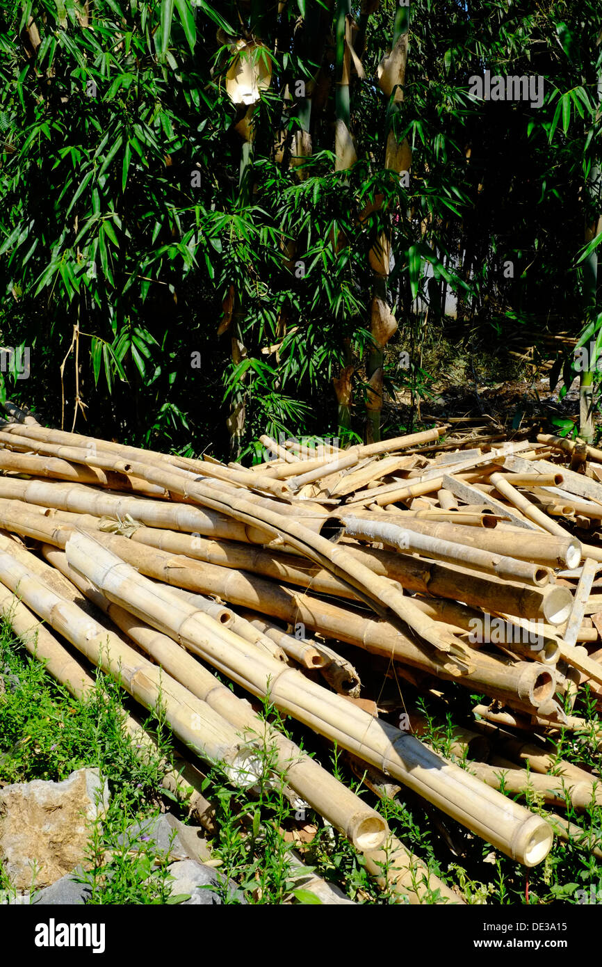 Piles of bamboo hires stock photography and images Alamy