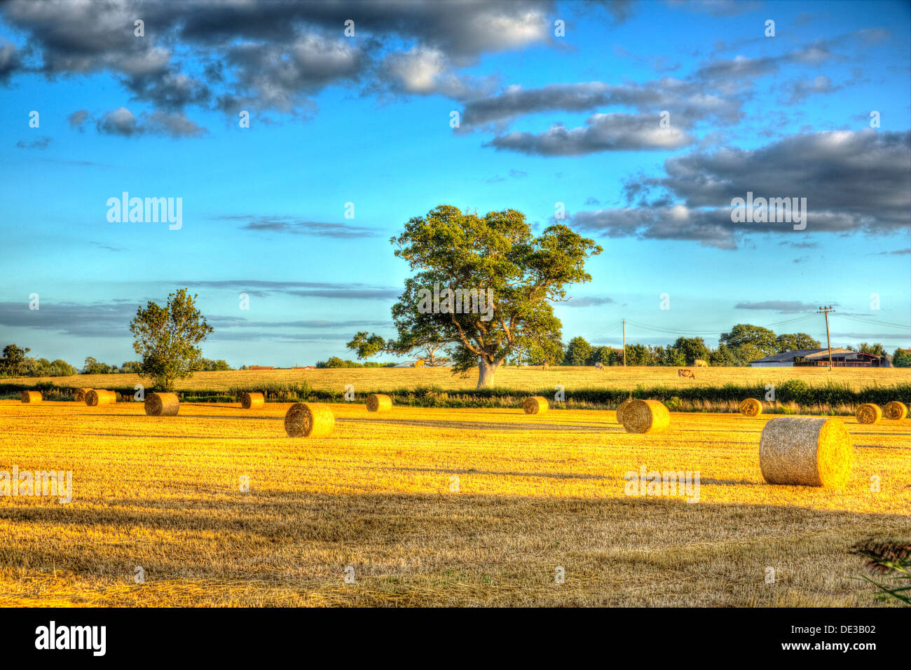 English country scene with hay bales in golden field trees and cloudscape in HDR Stock Photo