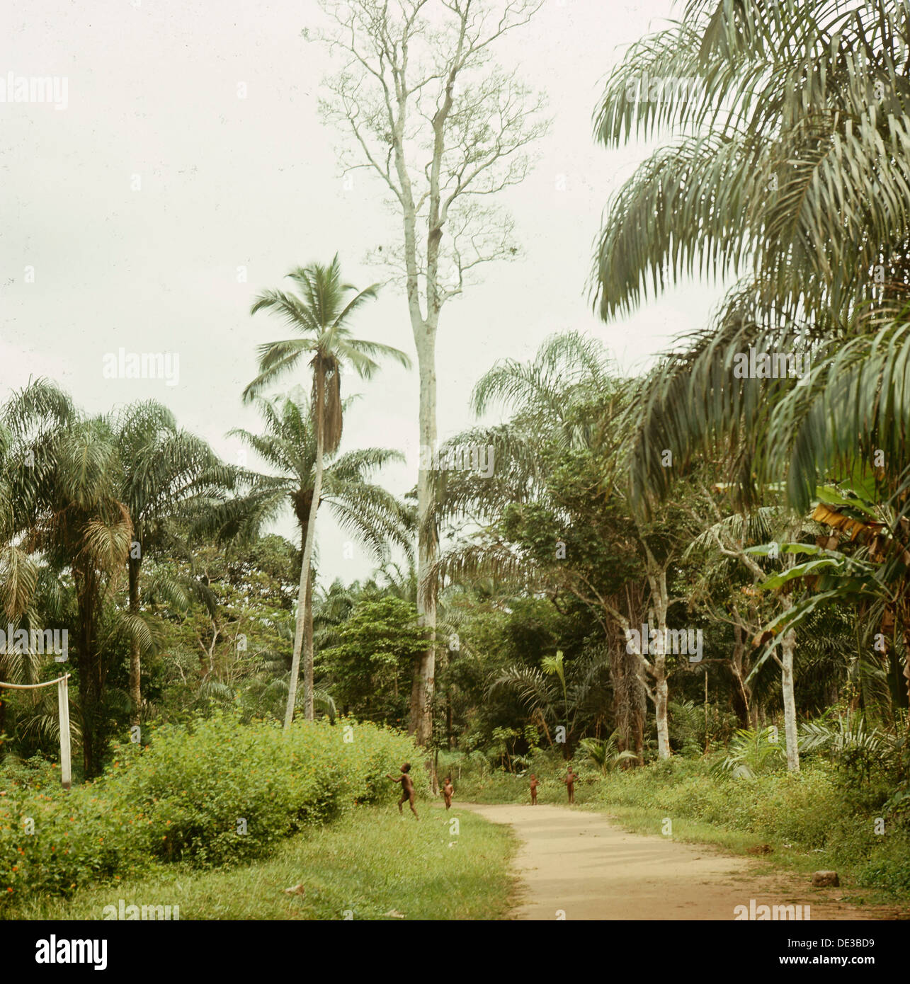 Calabar In Nigeria High Resolution Stock Photography and Images - Alamy