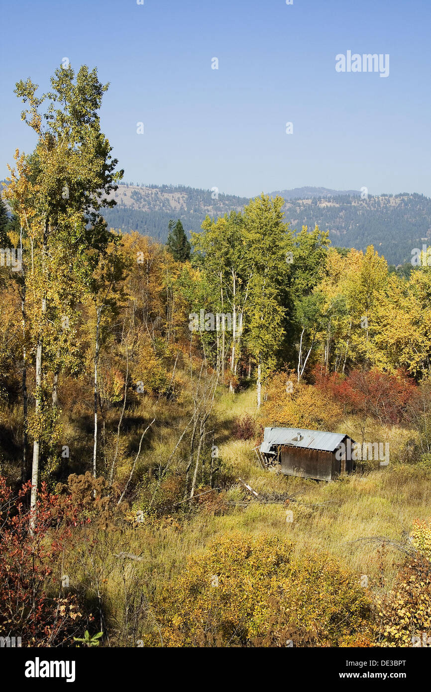 Old abandoned idaho homestead hires stock photography and images Alamy