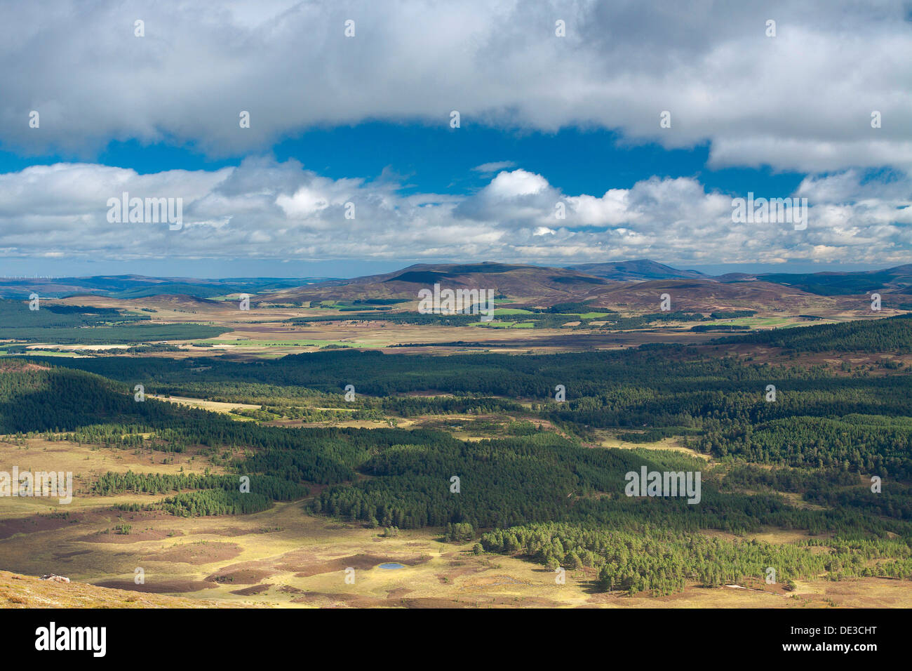 Ben rinnes hi-res stock photography and images - Alamy