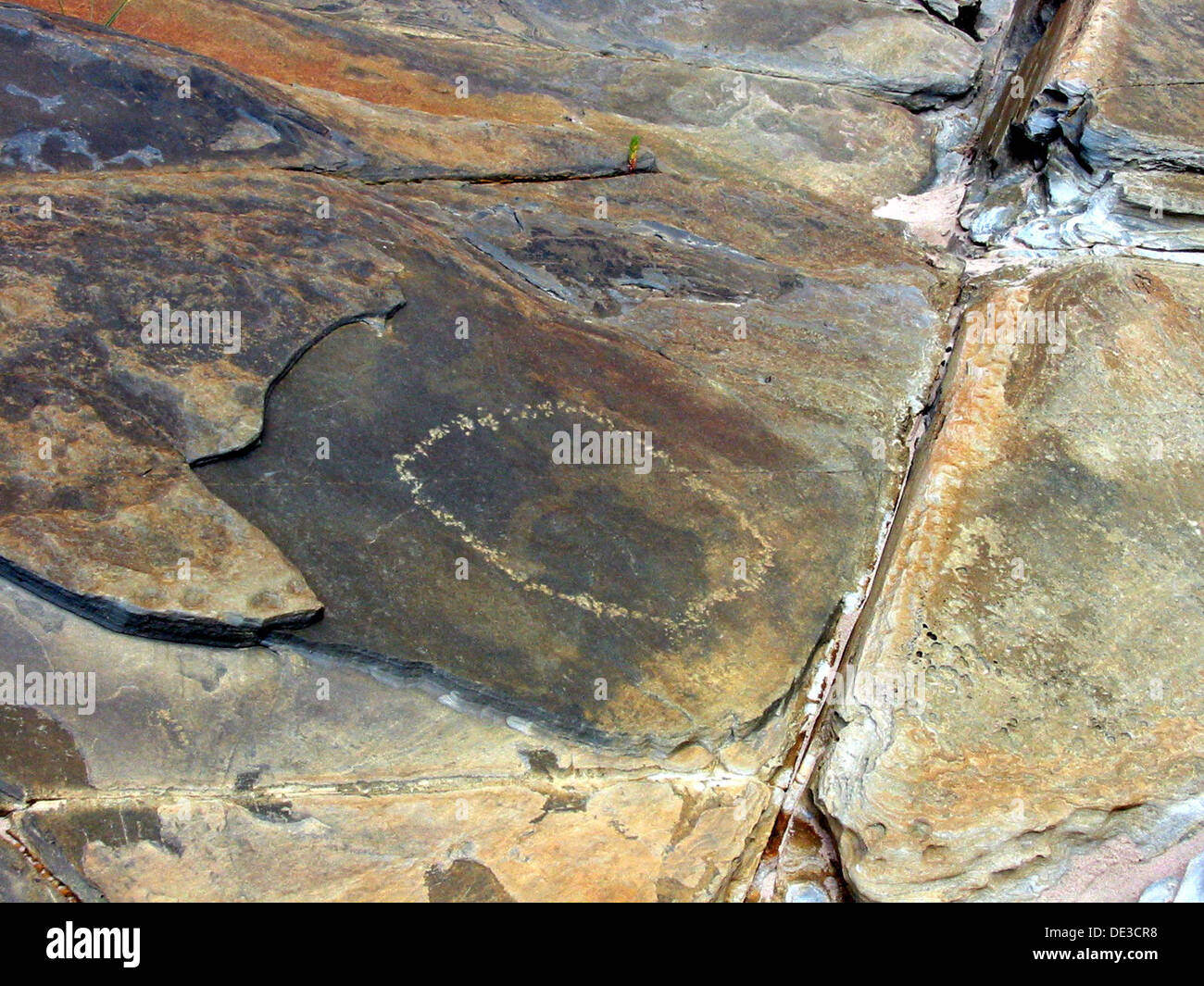 Aboriginal Rock Carvings High Resolution Stock Photography and Images ...