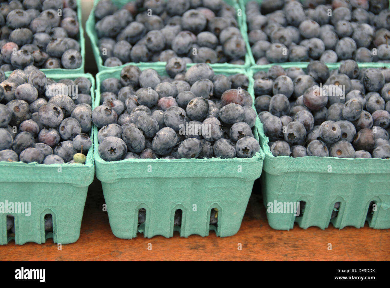 Cardboard containers of blueberries at a farmer´s market Stock Photo Alamy