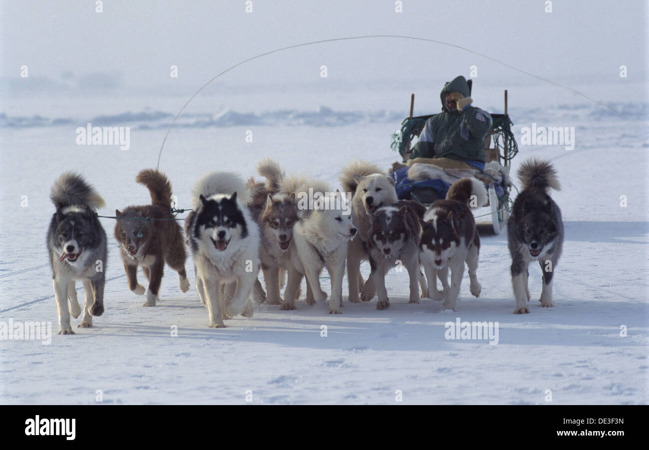 Greenland coast. North Pole Stock Photo Alamy