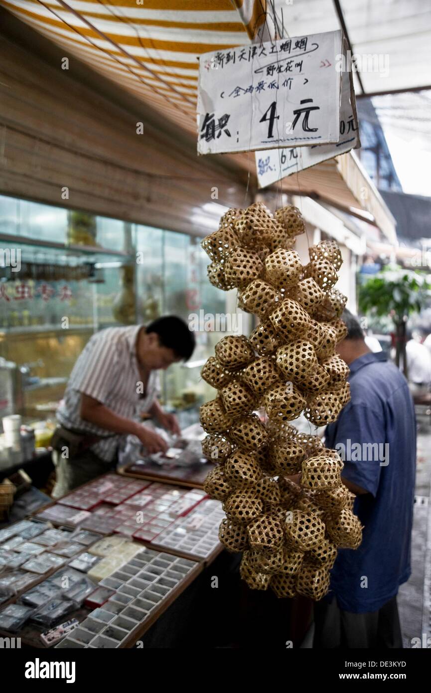 Cages with crickets in the pet market. Shanghai, China Stock Photo Alamy