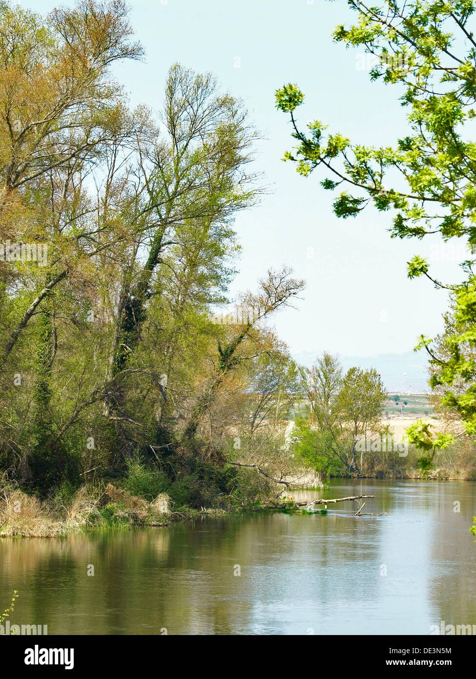 river ebro banks in spring Stock Photo Alamy