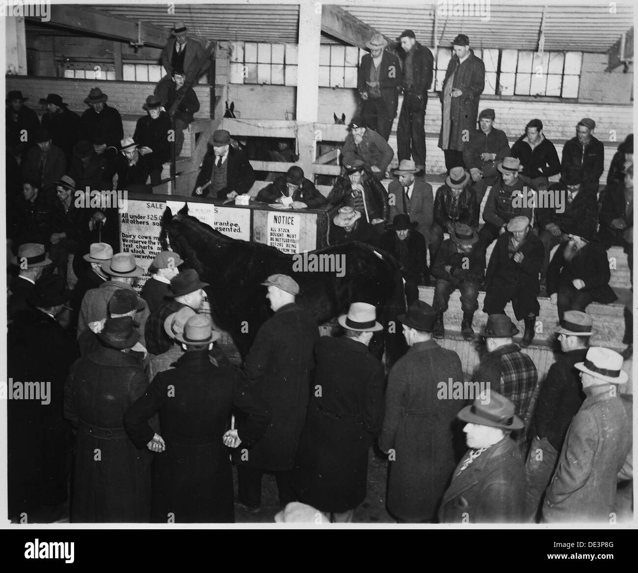 Lancaster County, Pennsylvania. Horse sales are still popular